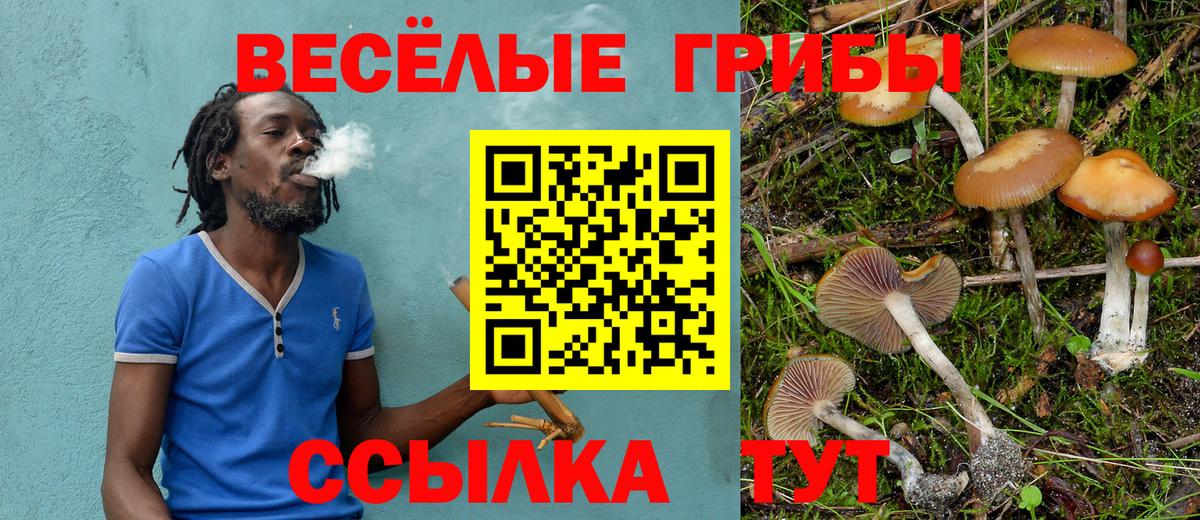 Меф МЯУ МЯУ кристаллы  Братск  Вход с VPN  Мефедрон  MDMA  ГАШИШ  Бошки Шишки 