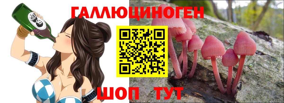 Братск  Галлюциногенные грибы мицелий  Галлюциногенные грибы прущие грибы  Вход с VPN 